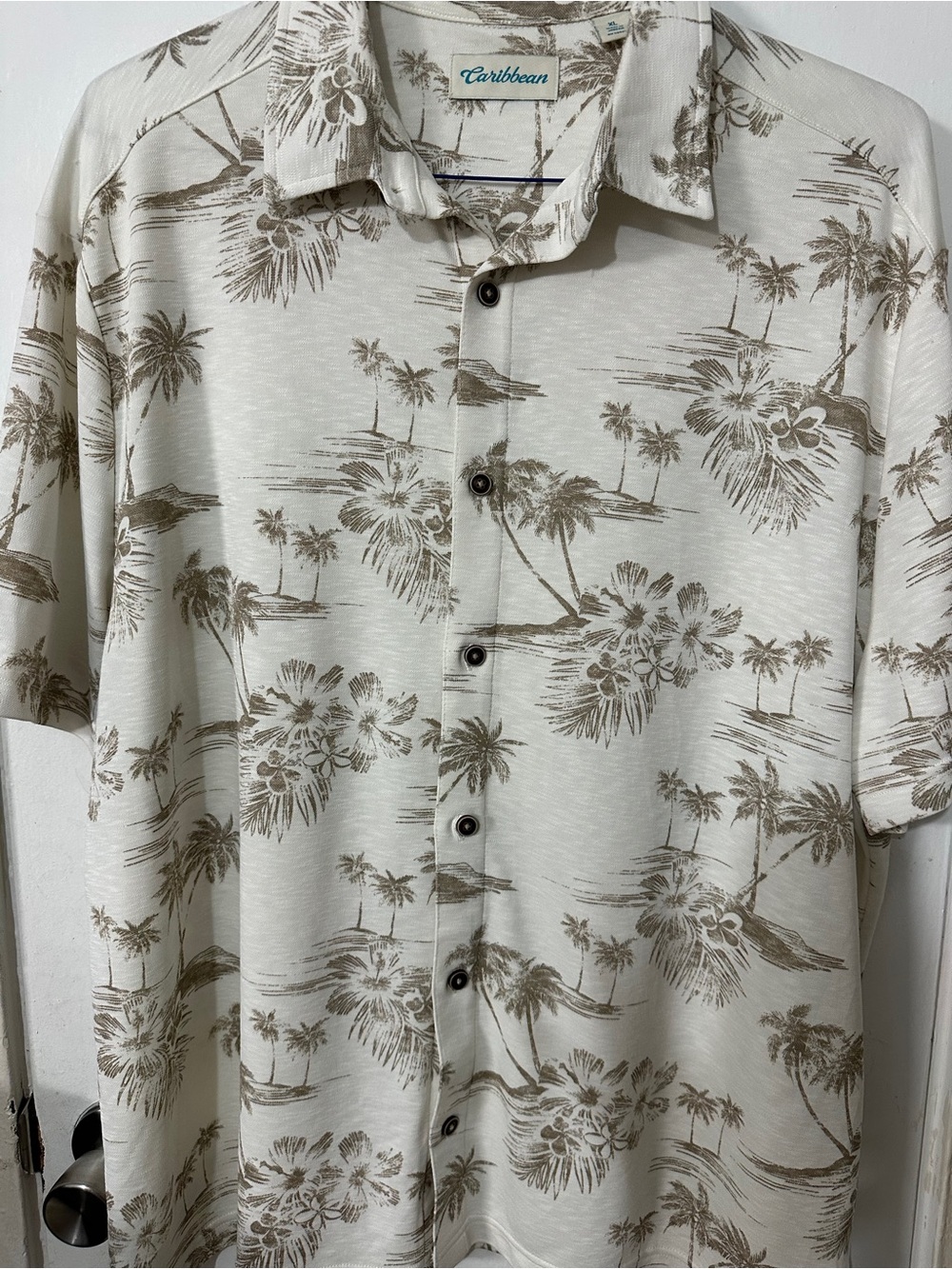 Caribbean Men's Cream Tropical Palm Print Button-Down Shirt